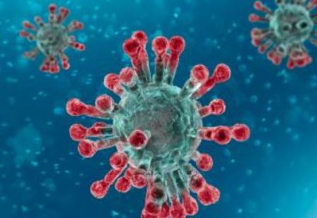 El programa informático que ha detectado el coronavirus es el mismo que encontró el virus Zika en 2014